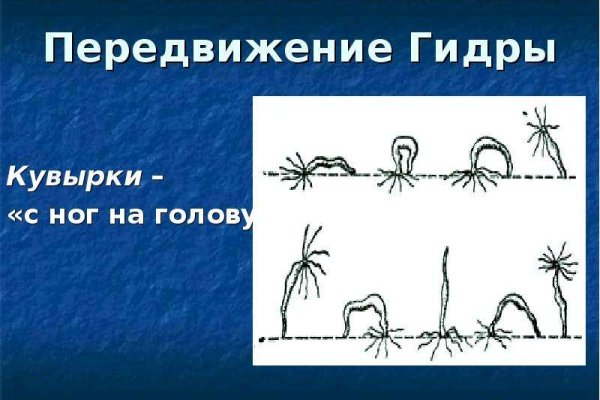 Kraken market3