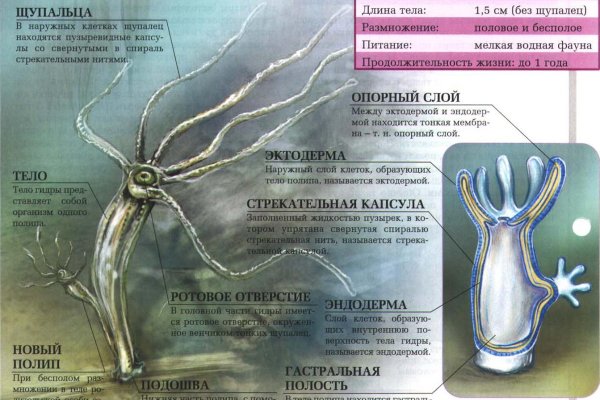 Kraken ссылка тг
