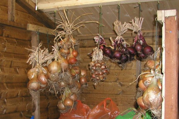 Ссылки для даркнета