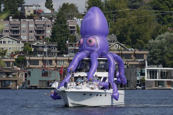 Kraken marketplace