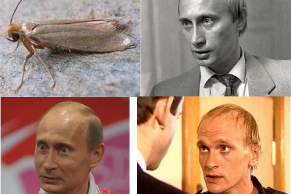 Ссылка в даркнет