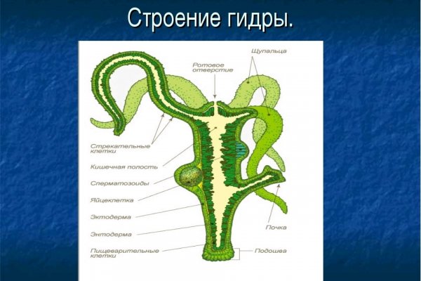 Кракен маркет что это такое
