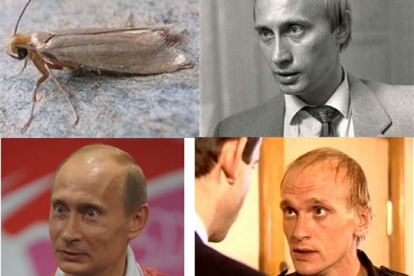 Ссылки на кракен мегу