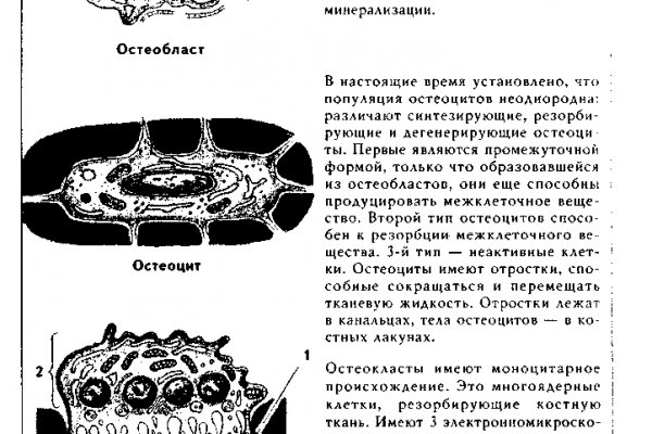 Кракен это современный даркнет маркет