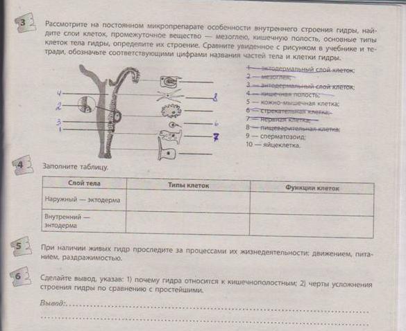 Кракен маркетплейс 2025