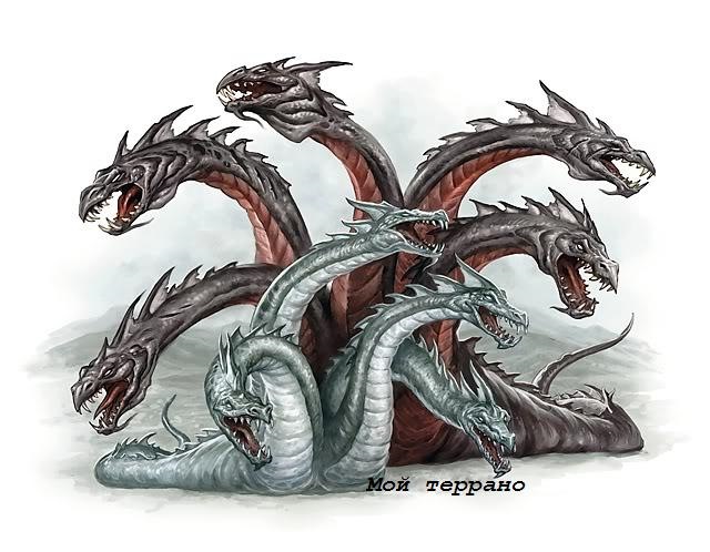 Kraken сайт tor